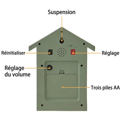 Horloge Coucou Oiseau Qui Sort